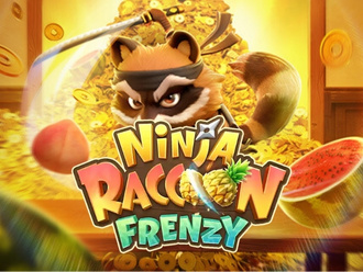 Ninja Raccoon Frenzy